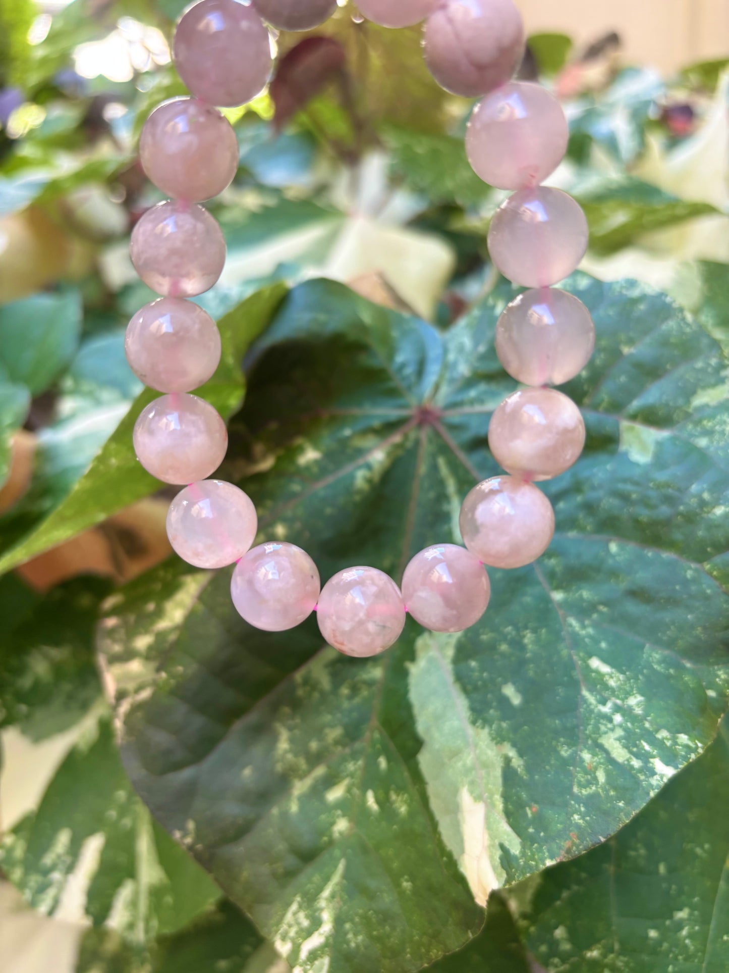 #Flower Agate🌸12mm