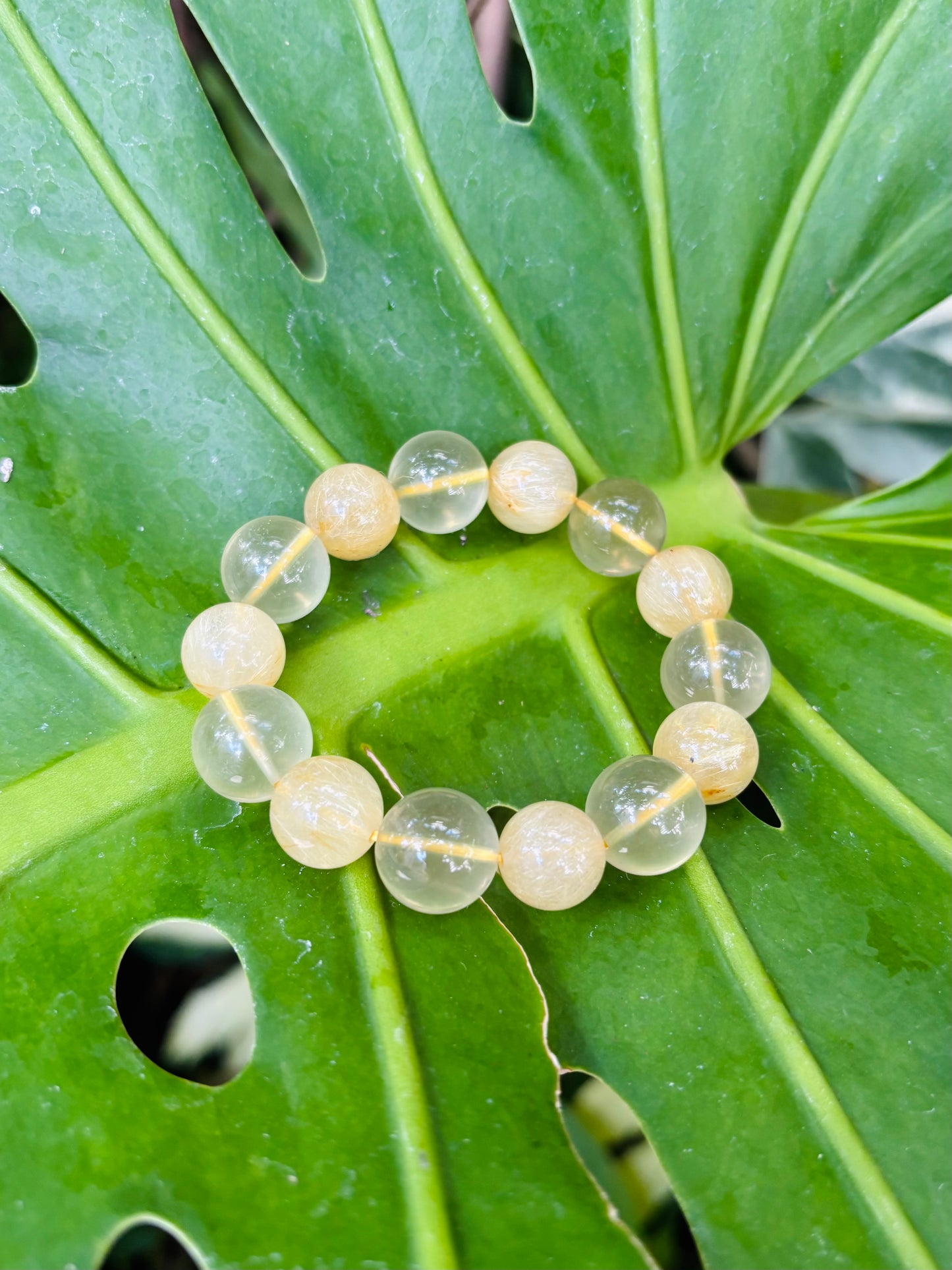 #Yellow Rutile & Lemon Citrine