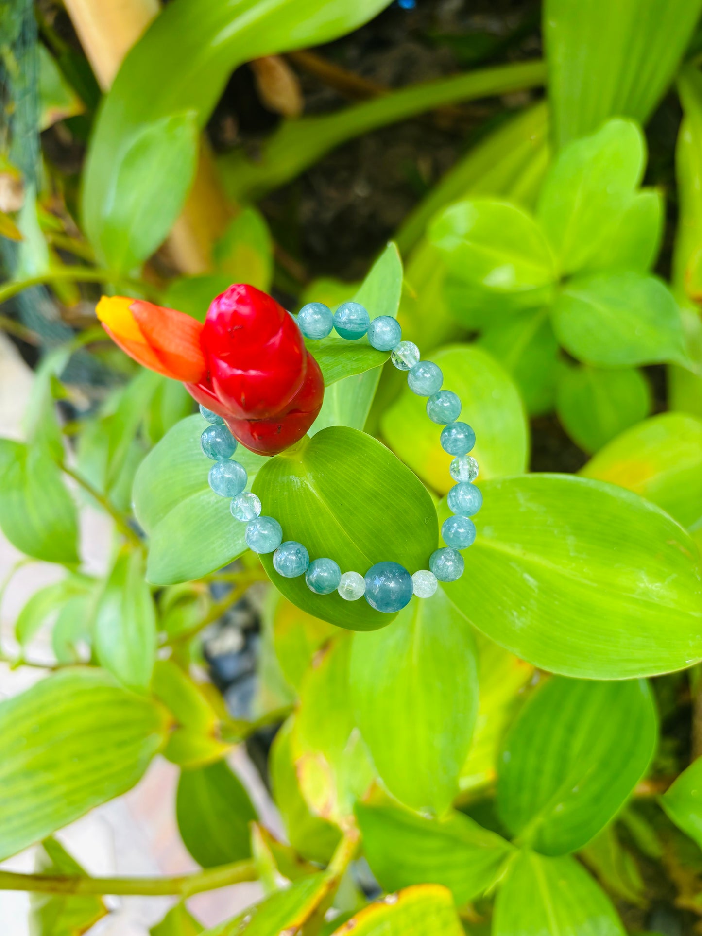 #Kyanite Bracelet