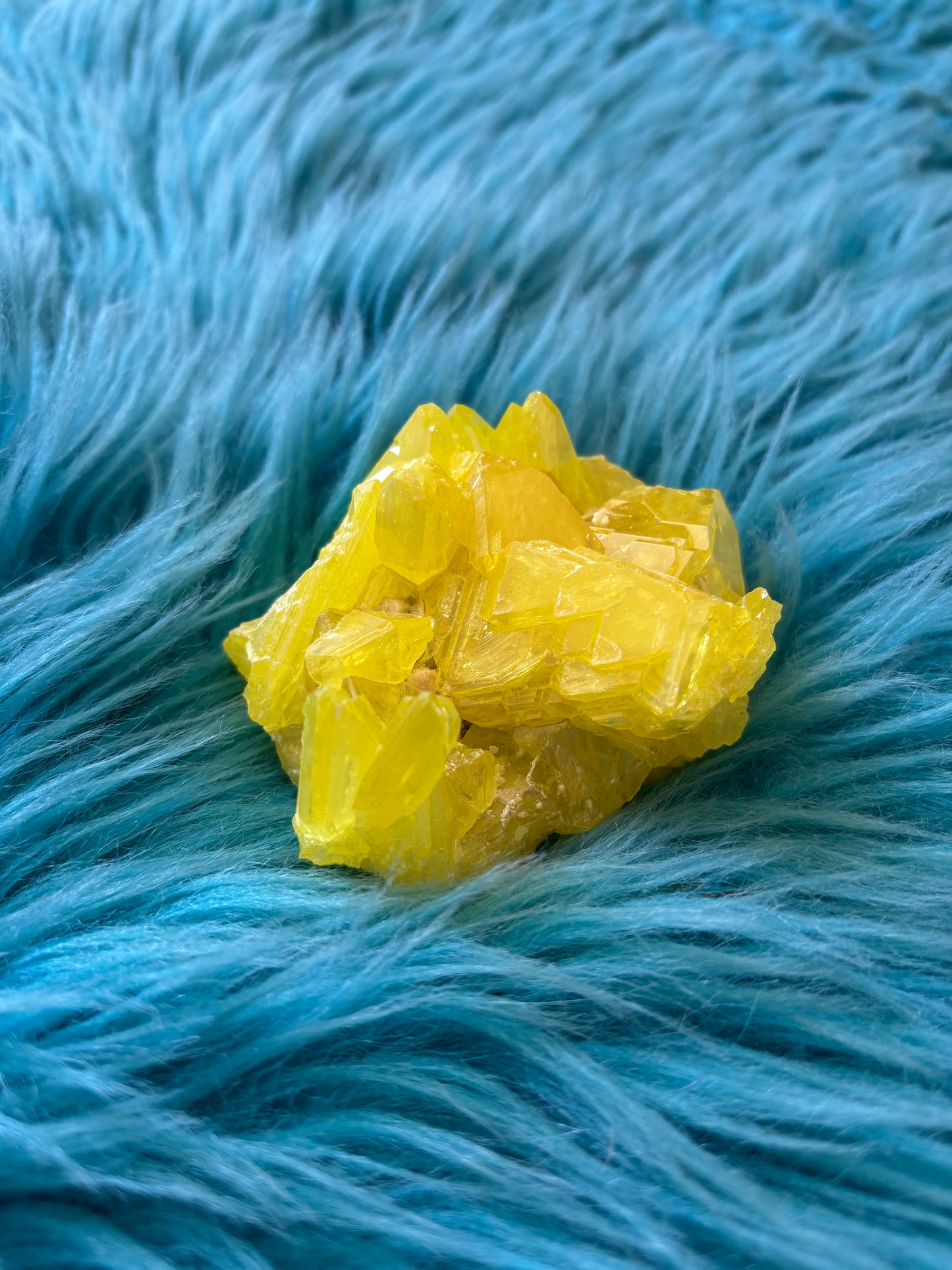 サルファークラスター204gram