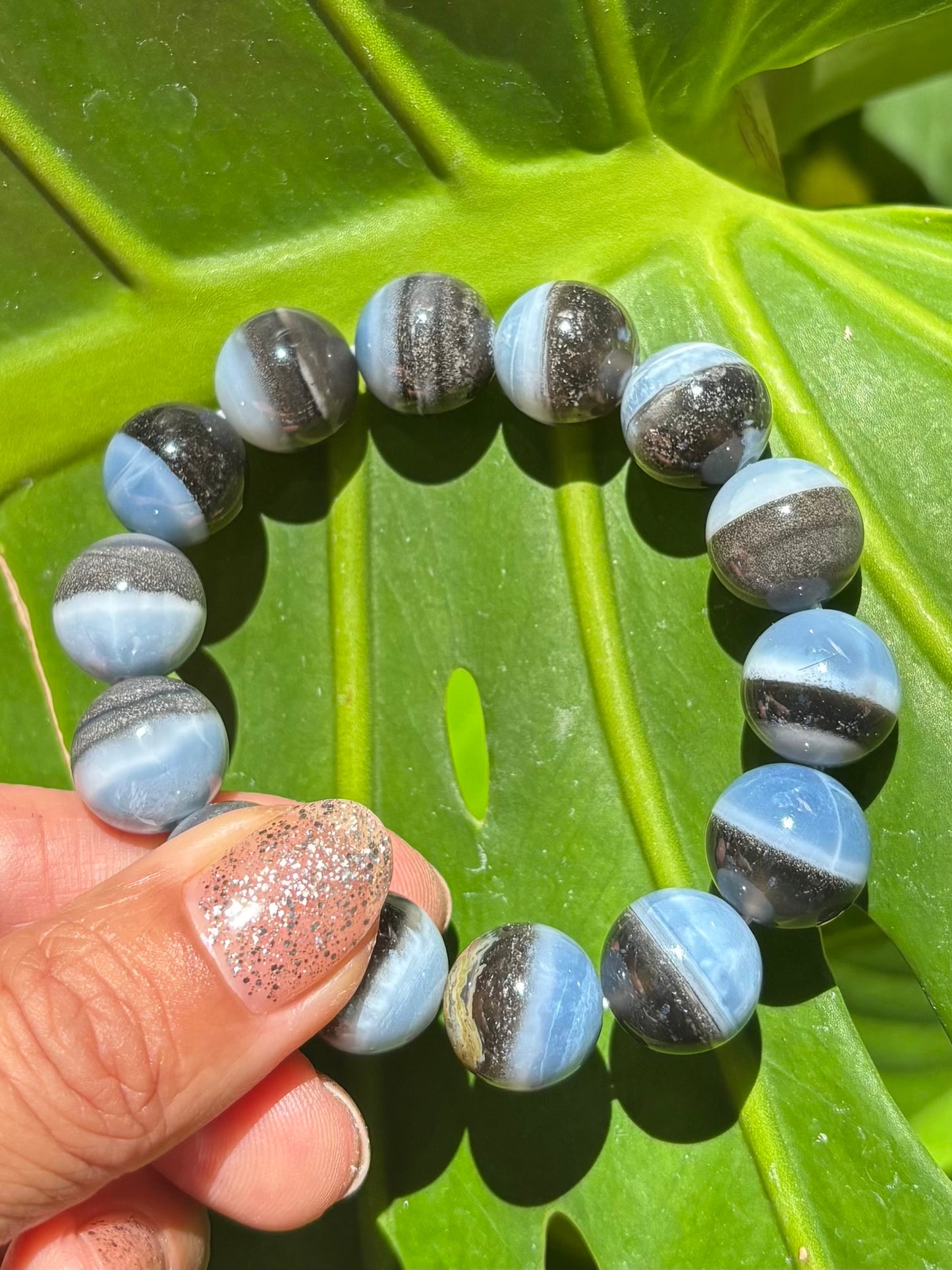 Blue Opal 陰陽balance◯
