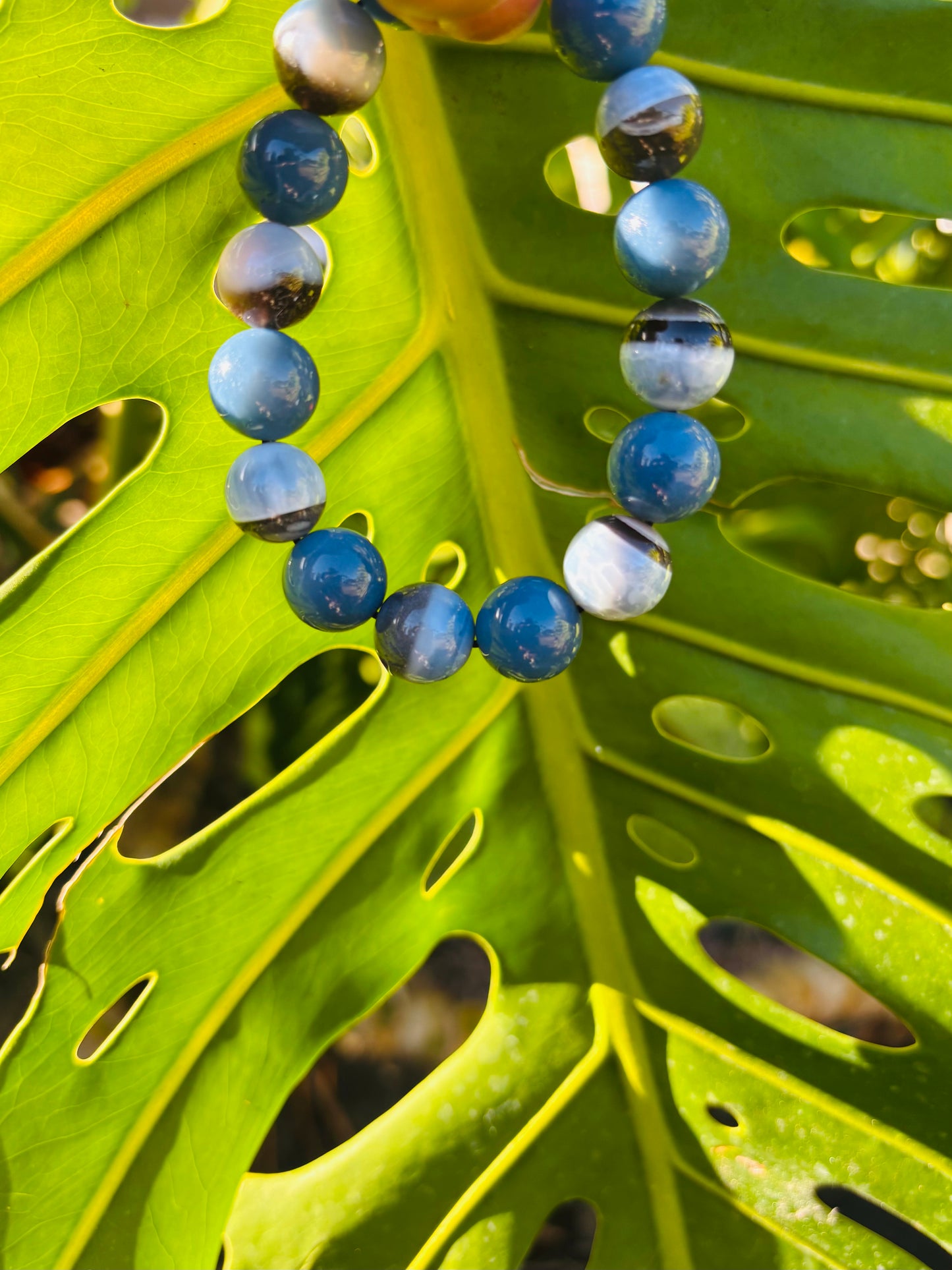 Blue Opal combination