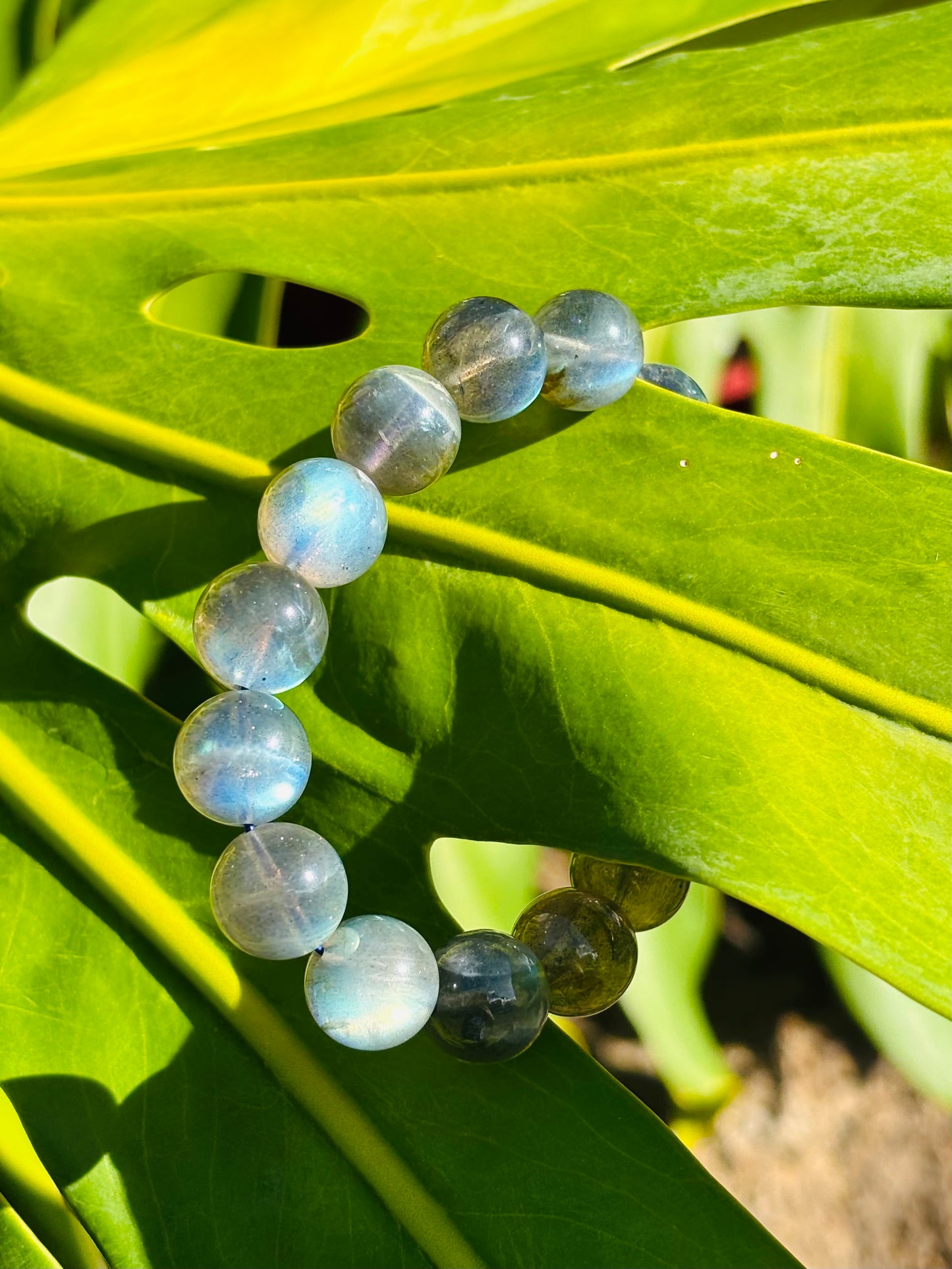 Labradorite Bracelet (ラブラドライト12mm)