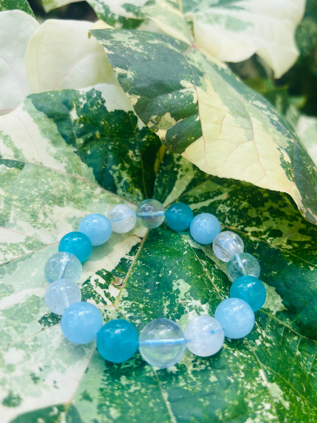#Blue Hawaii✨