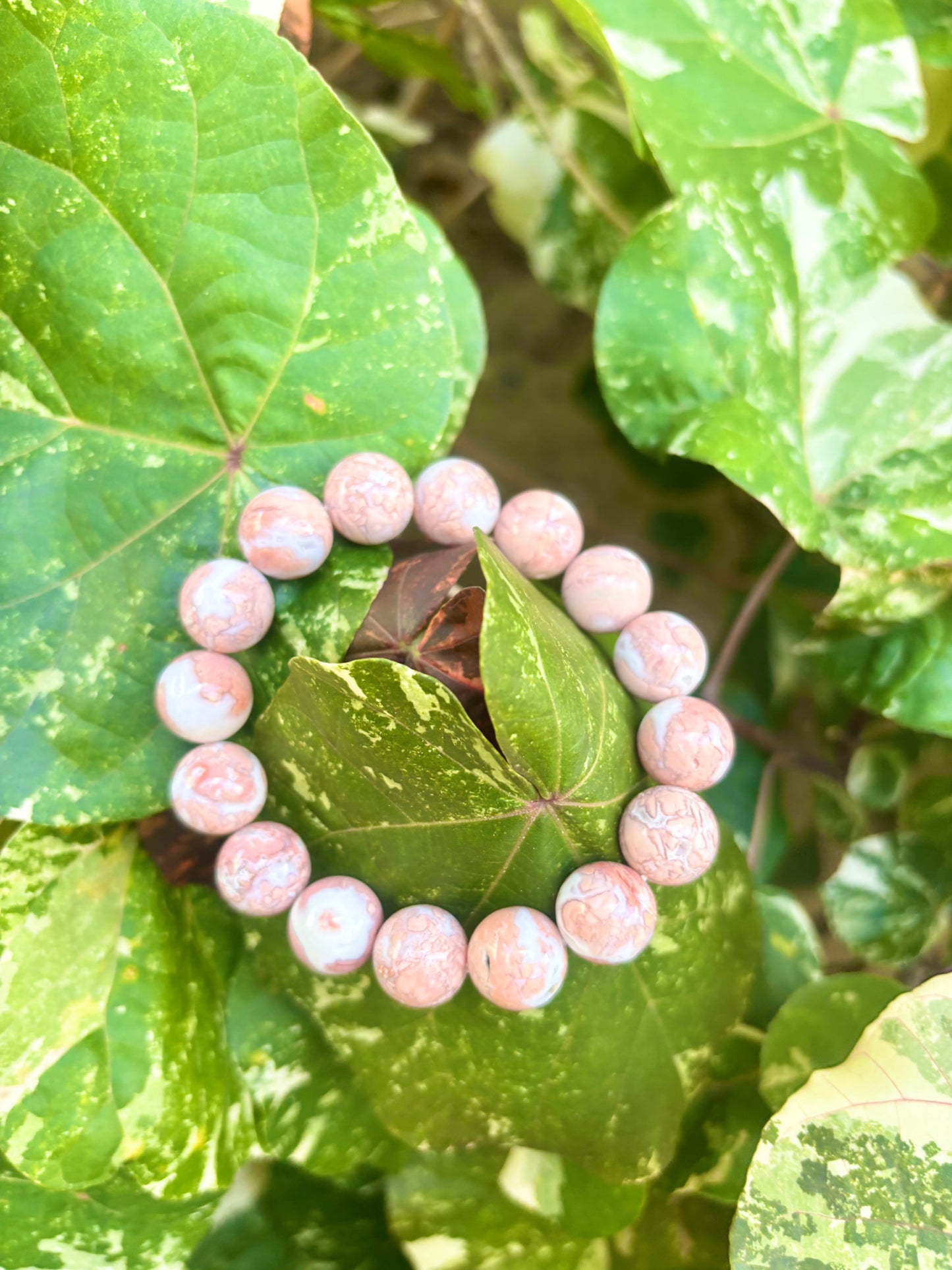 #レアMexican Agate 13.5mm