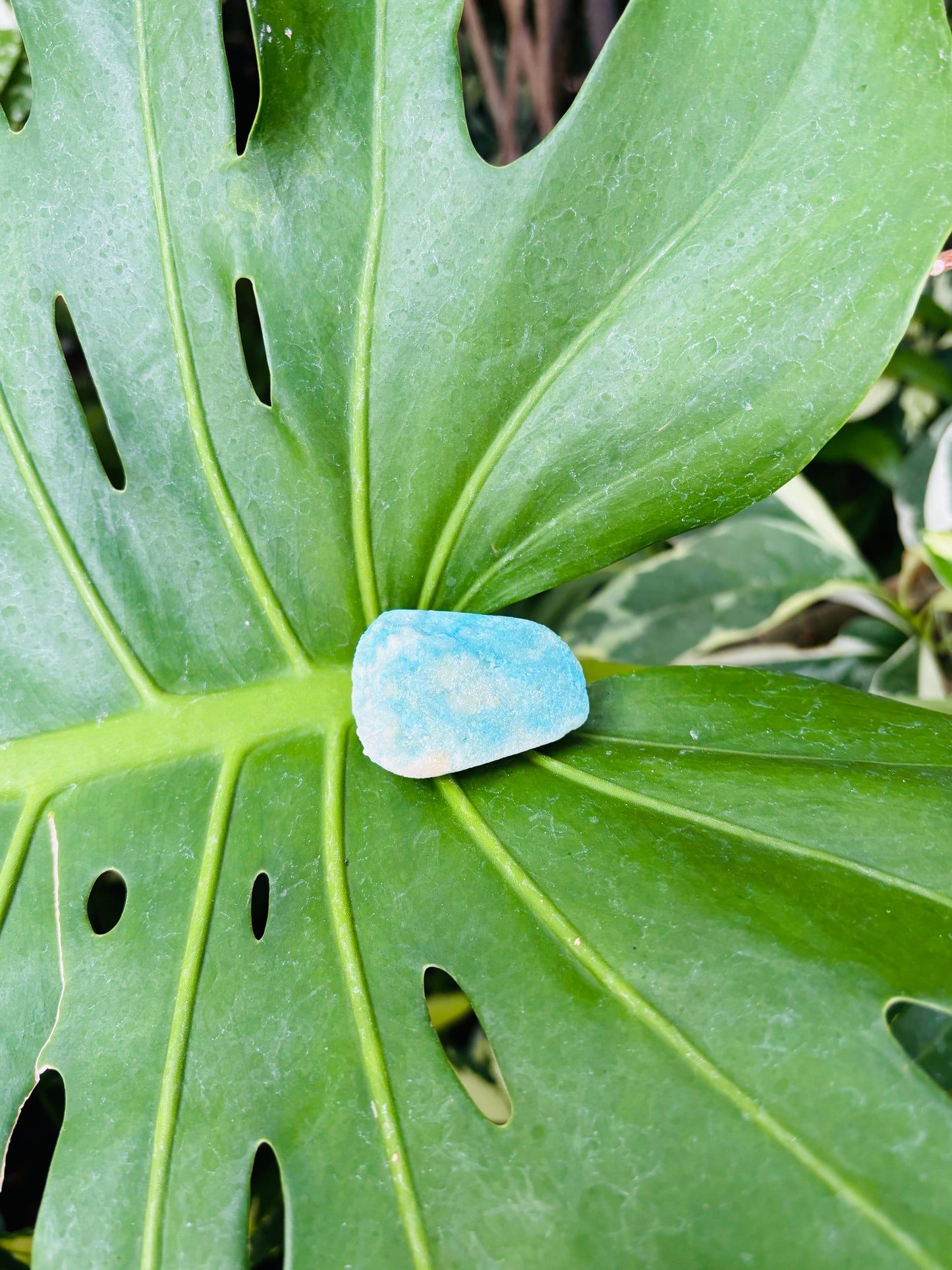 Blue Aragoniteクラスター