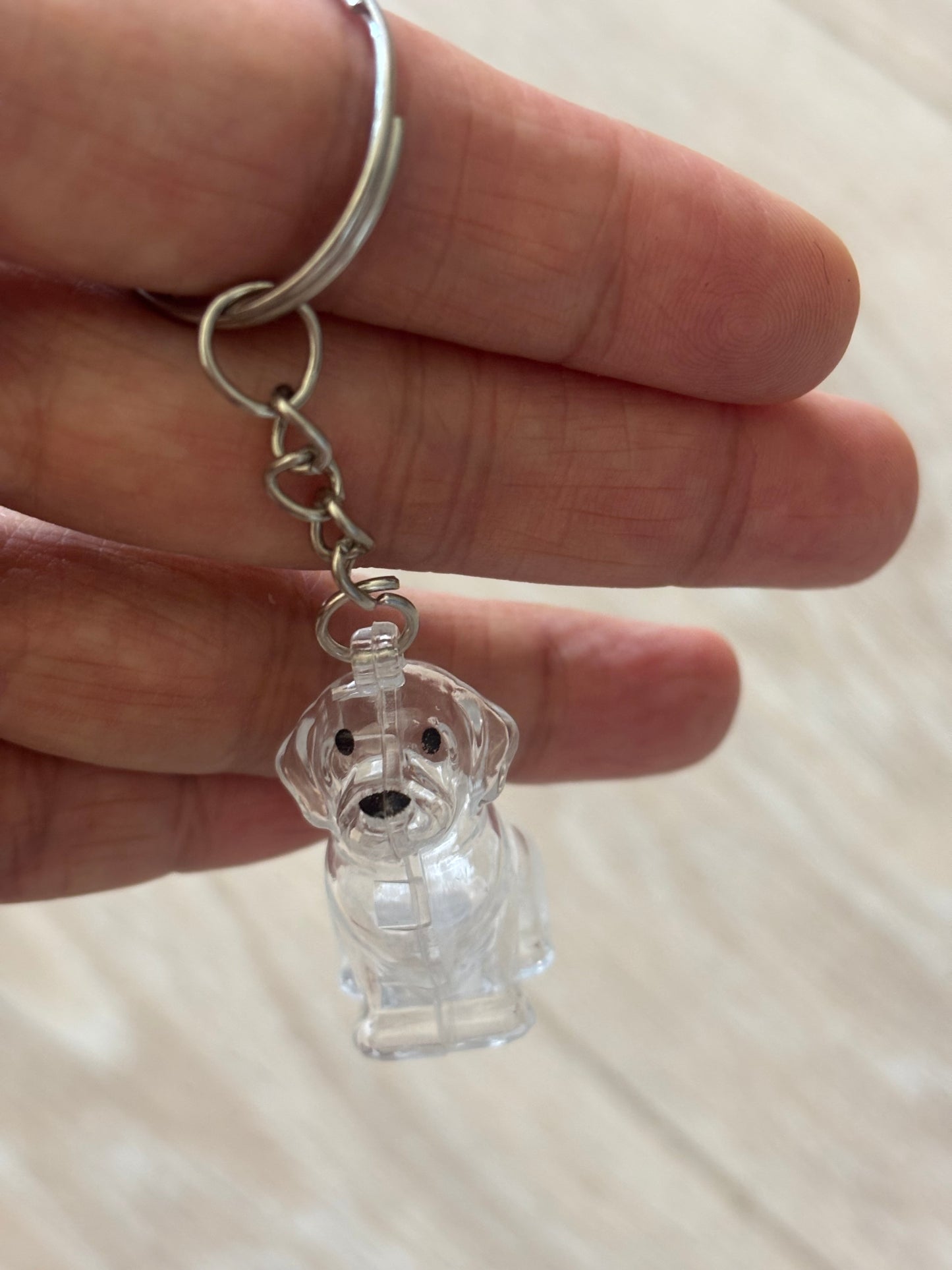 #Dog＆Cat memorial charm