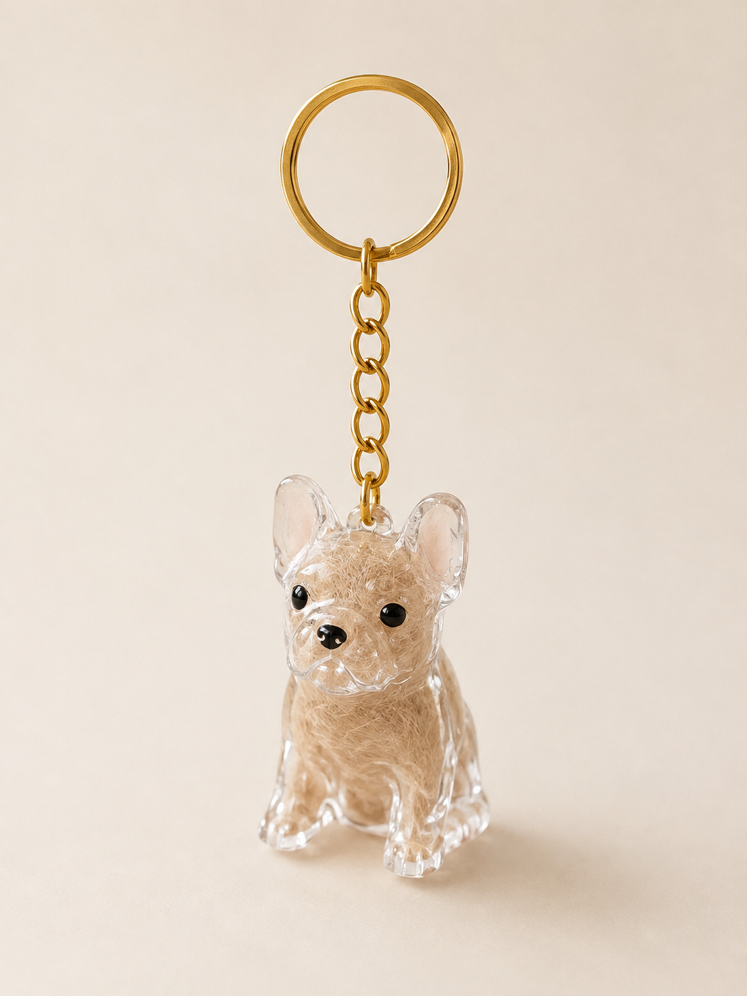 French bulldog charm