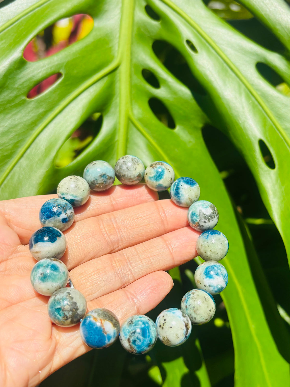 #超レア　Hackmanite & Pyrite Bracelet