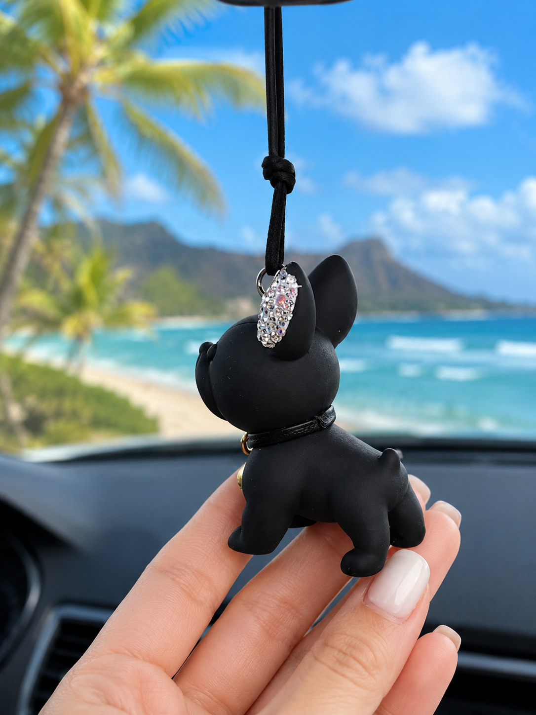 #French bulldog charm