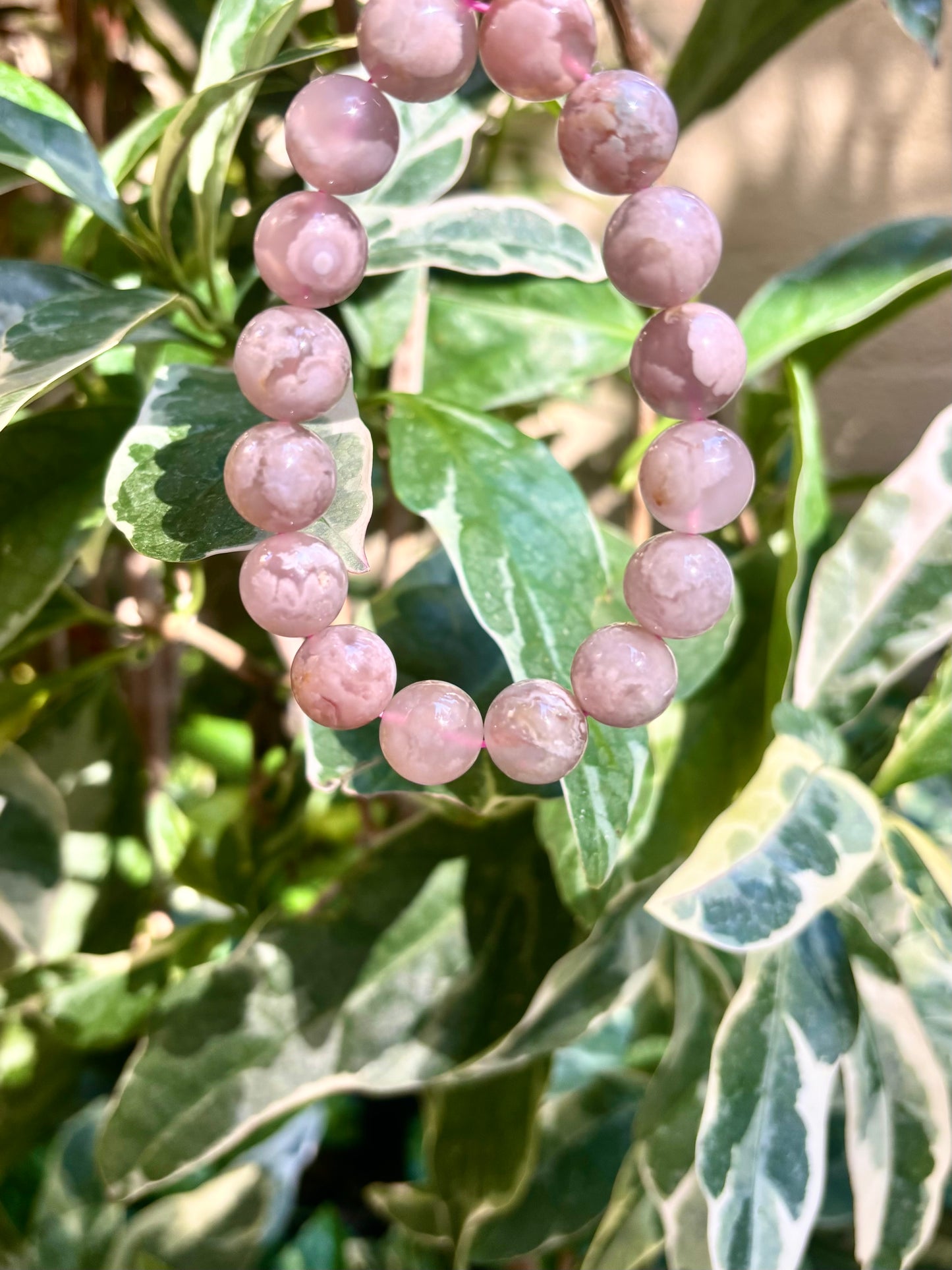 #Flower  Agate🌸13mm