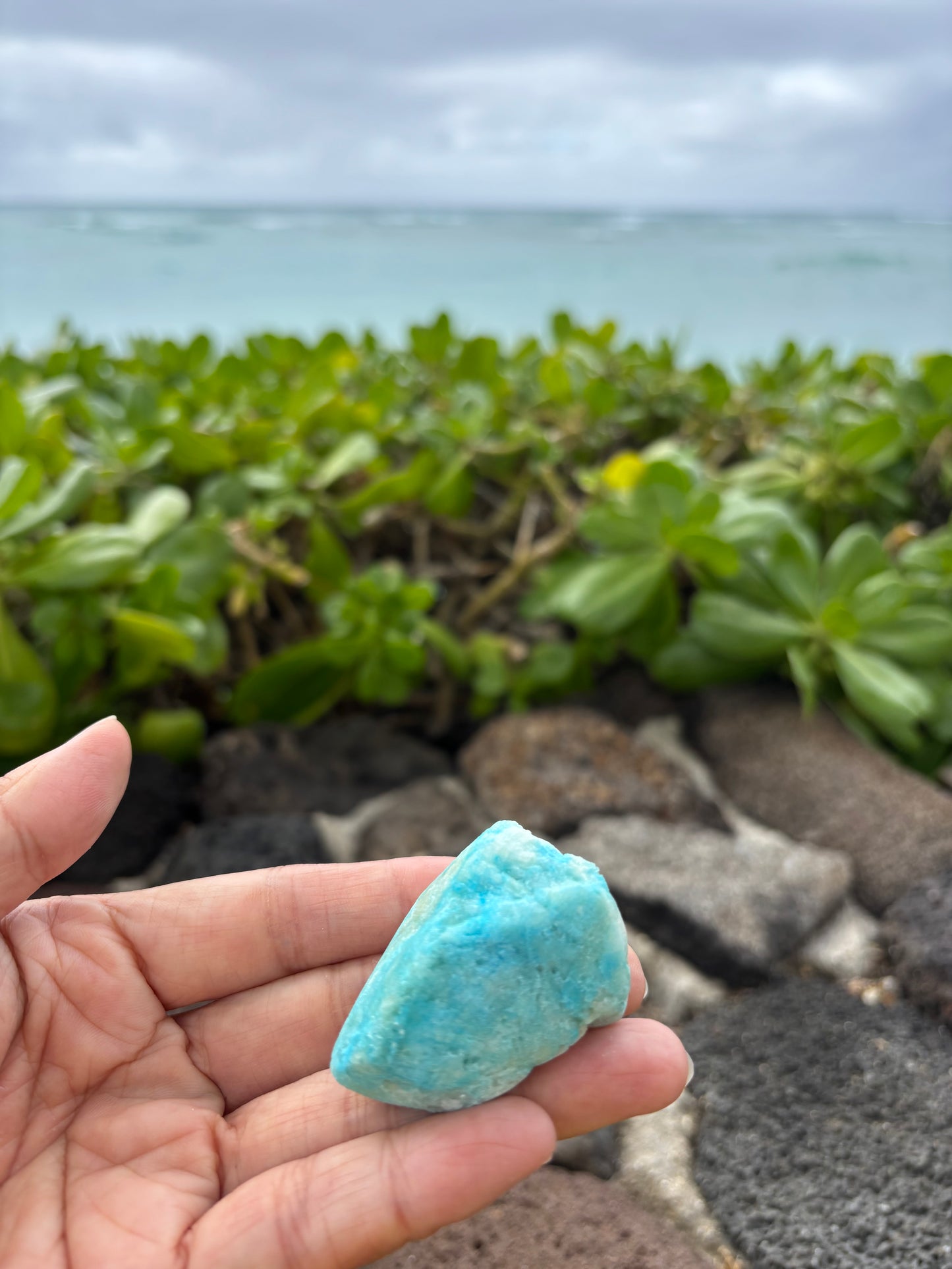 Blue Aragoniteクラスター