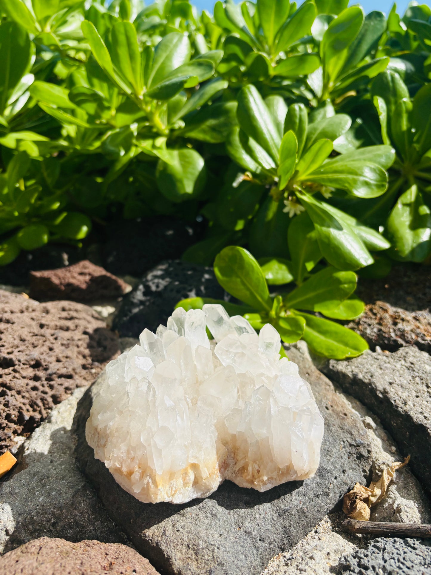 アメリカ産　水晶クラスター584gram