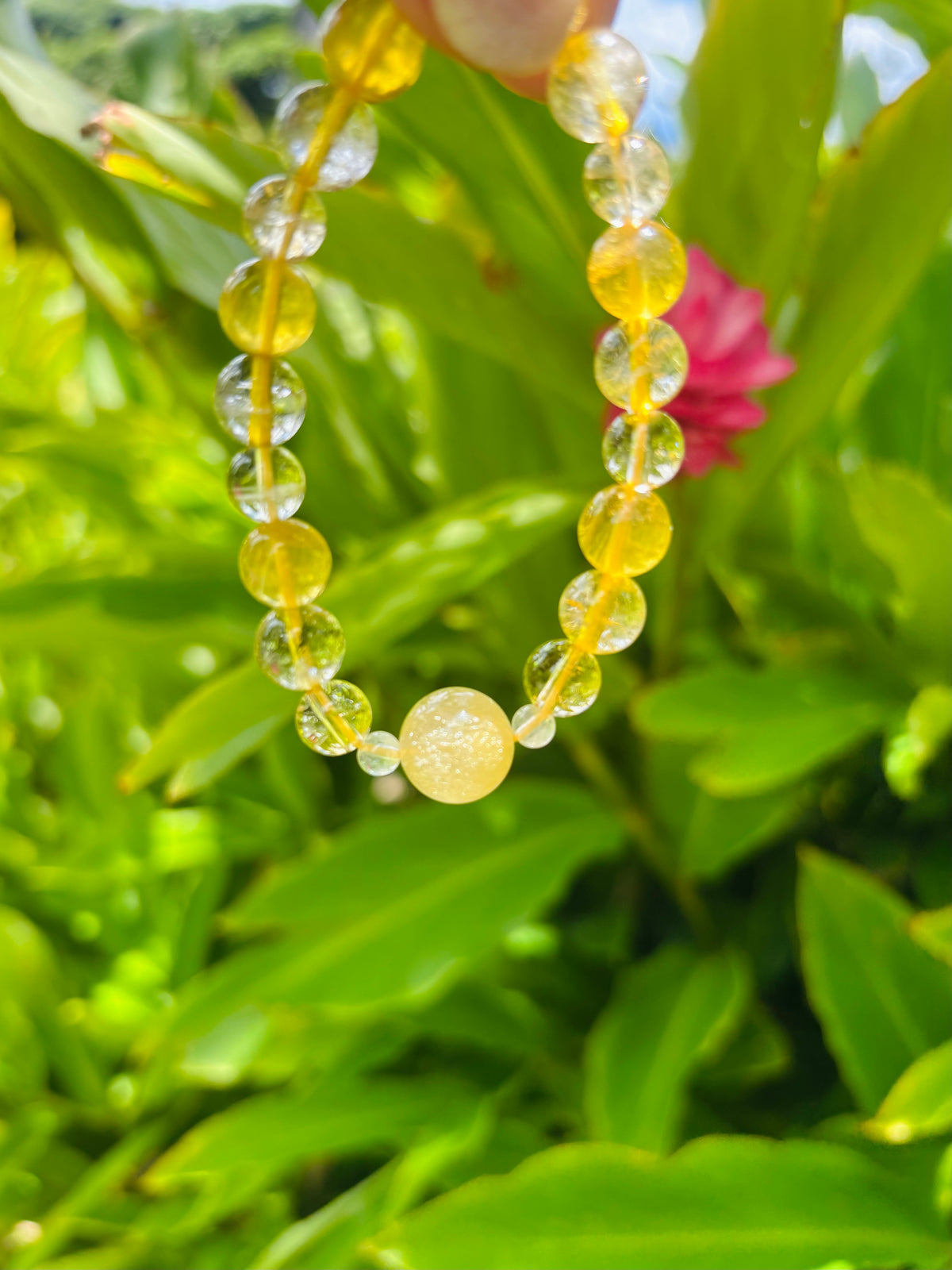 #Hawaiian Sunshine