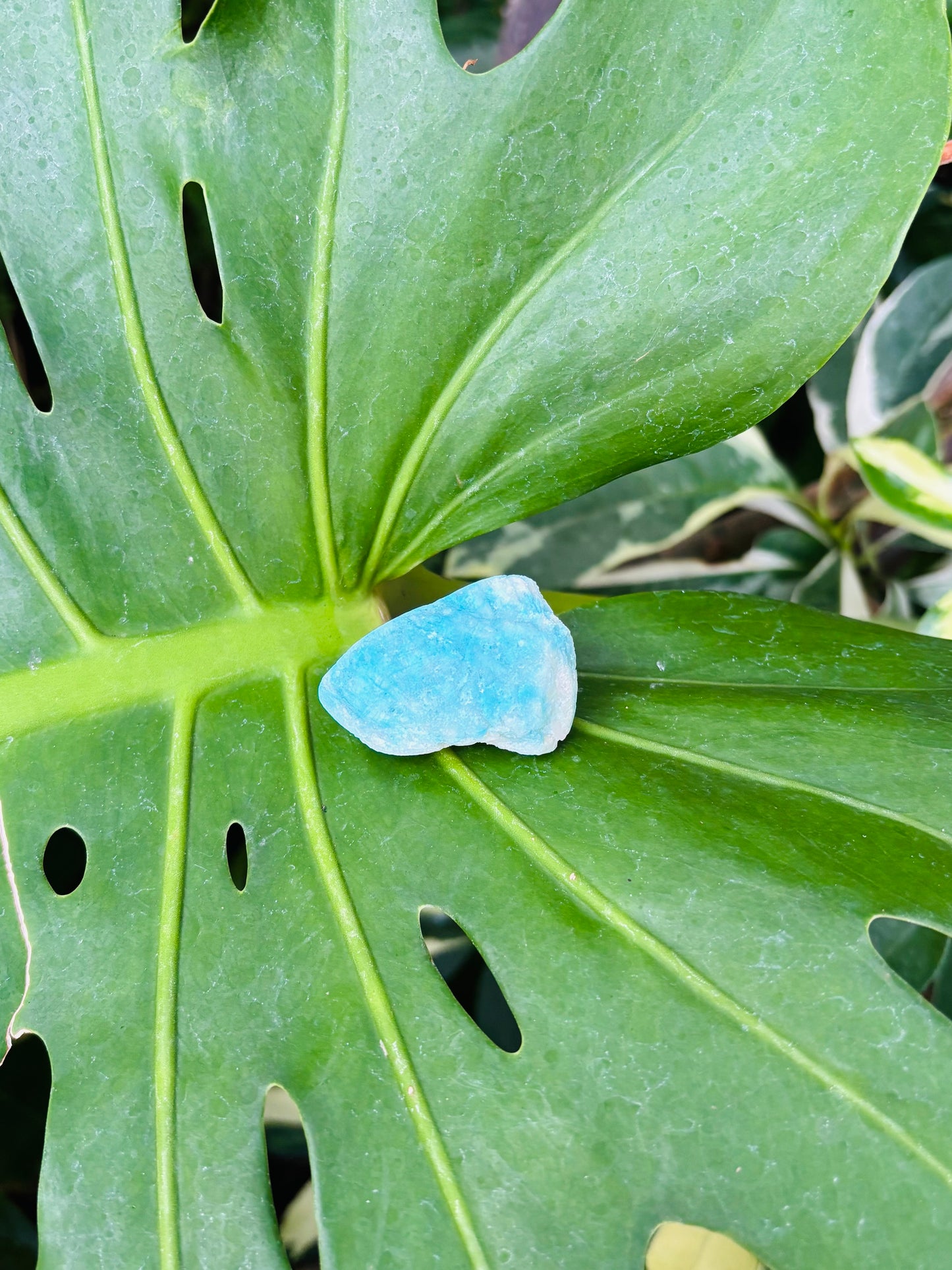 Blue Aragoniteクラスター