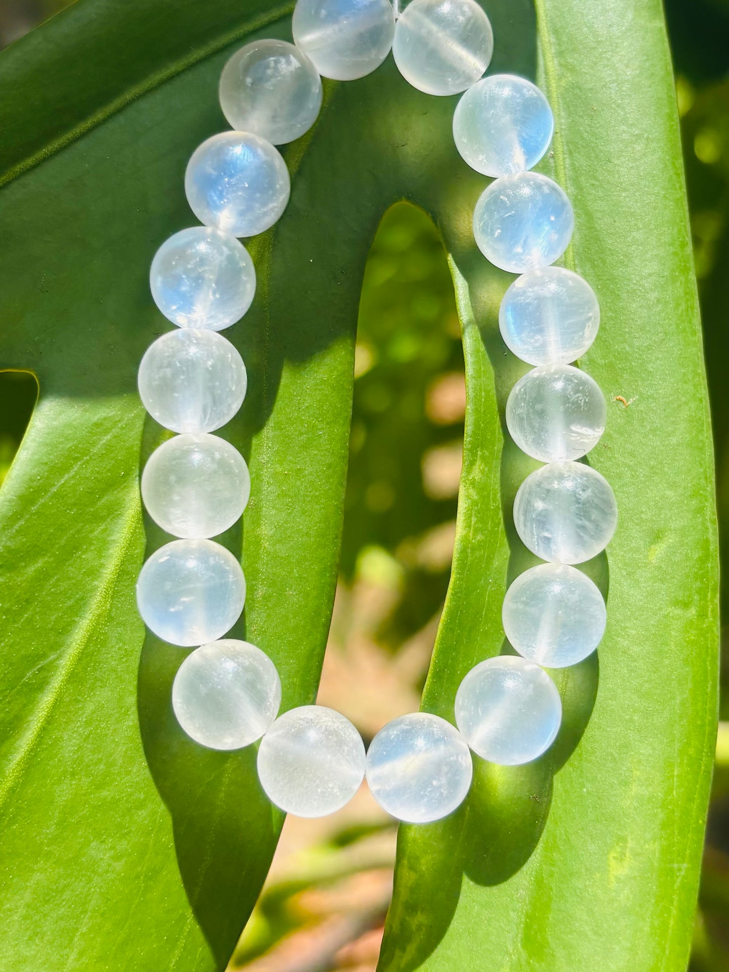 #Rainbow moonstone bracelet(極上レインボームーンストーン)