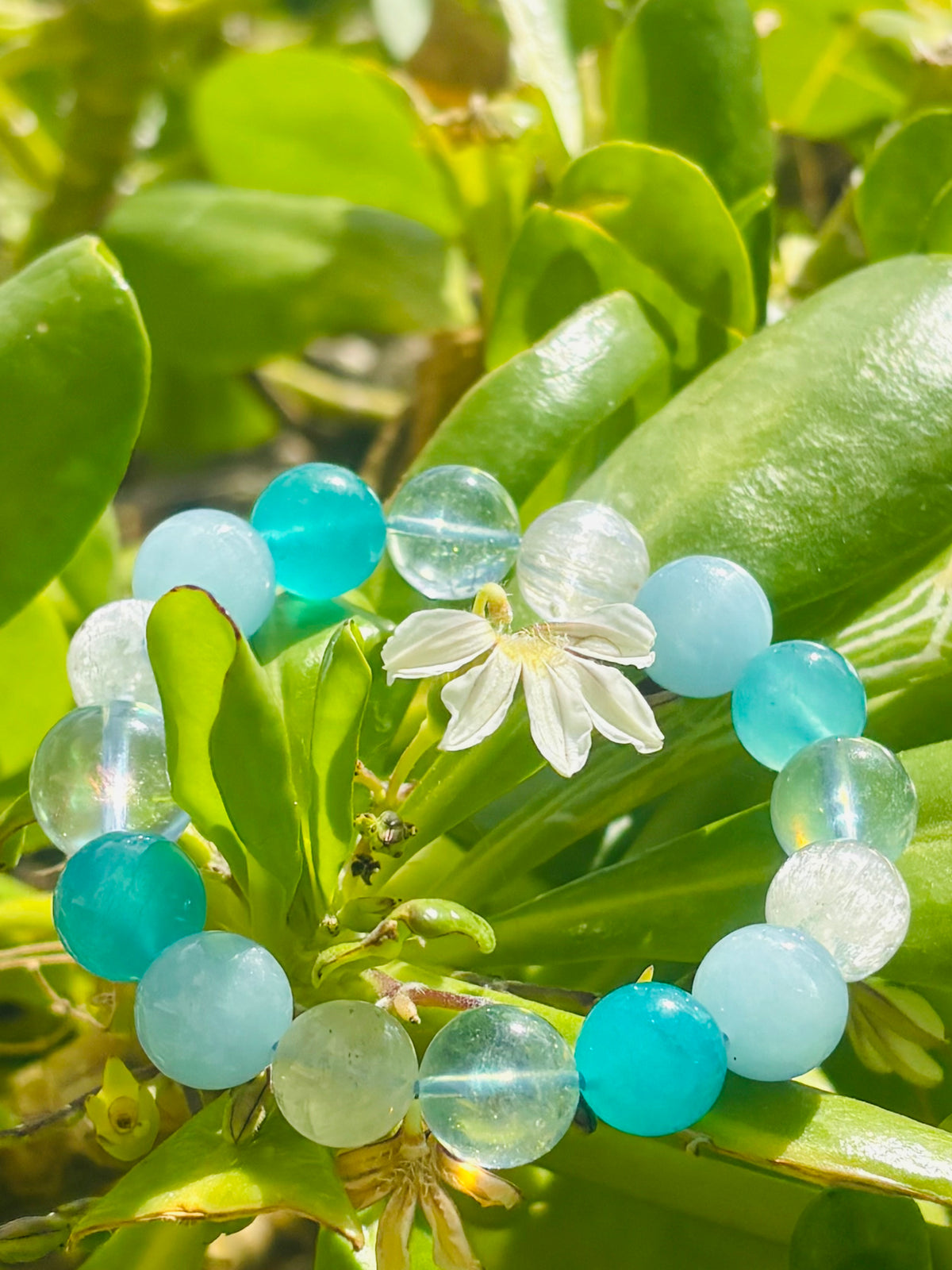 #Blue Hawaii✨