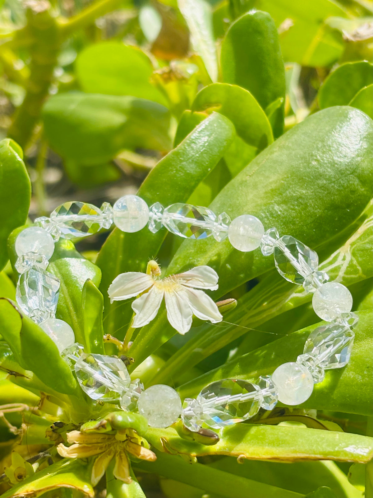 #Rainbow Moonstone Sparkle Crystal✨