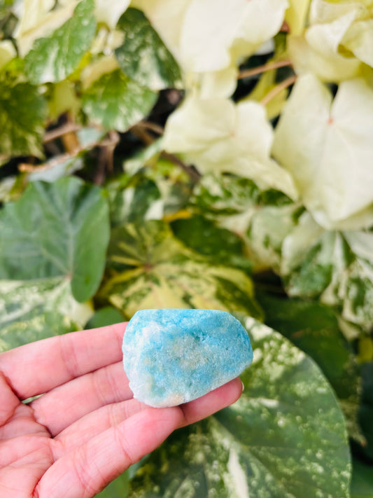 Blue Aragoniteクラスター