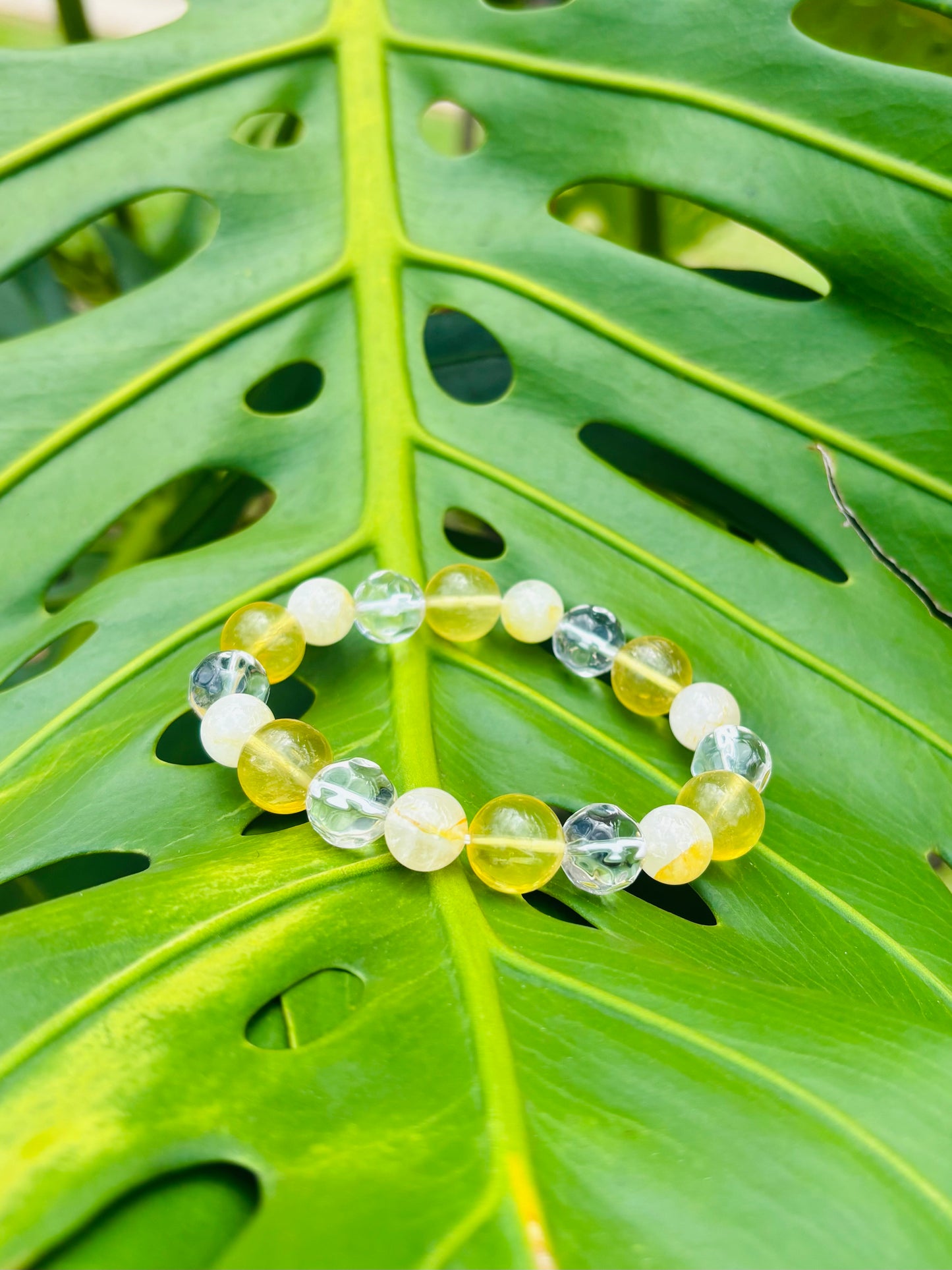 #Shinning sun light 10mm〜12mm