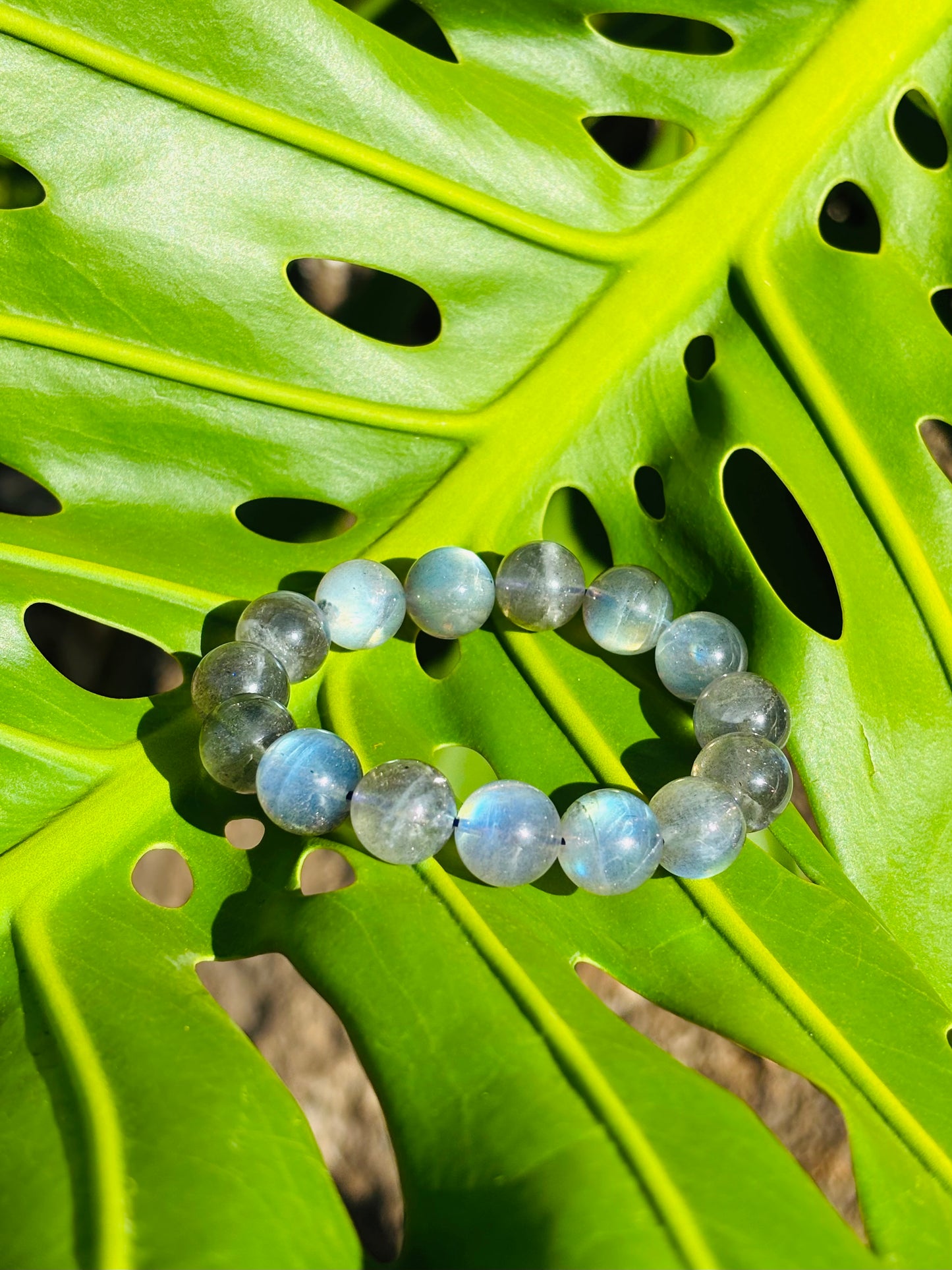 Labradorite Bracelet (ラブラドライト12mm)