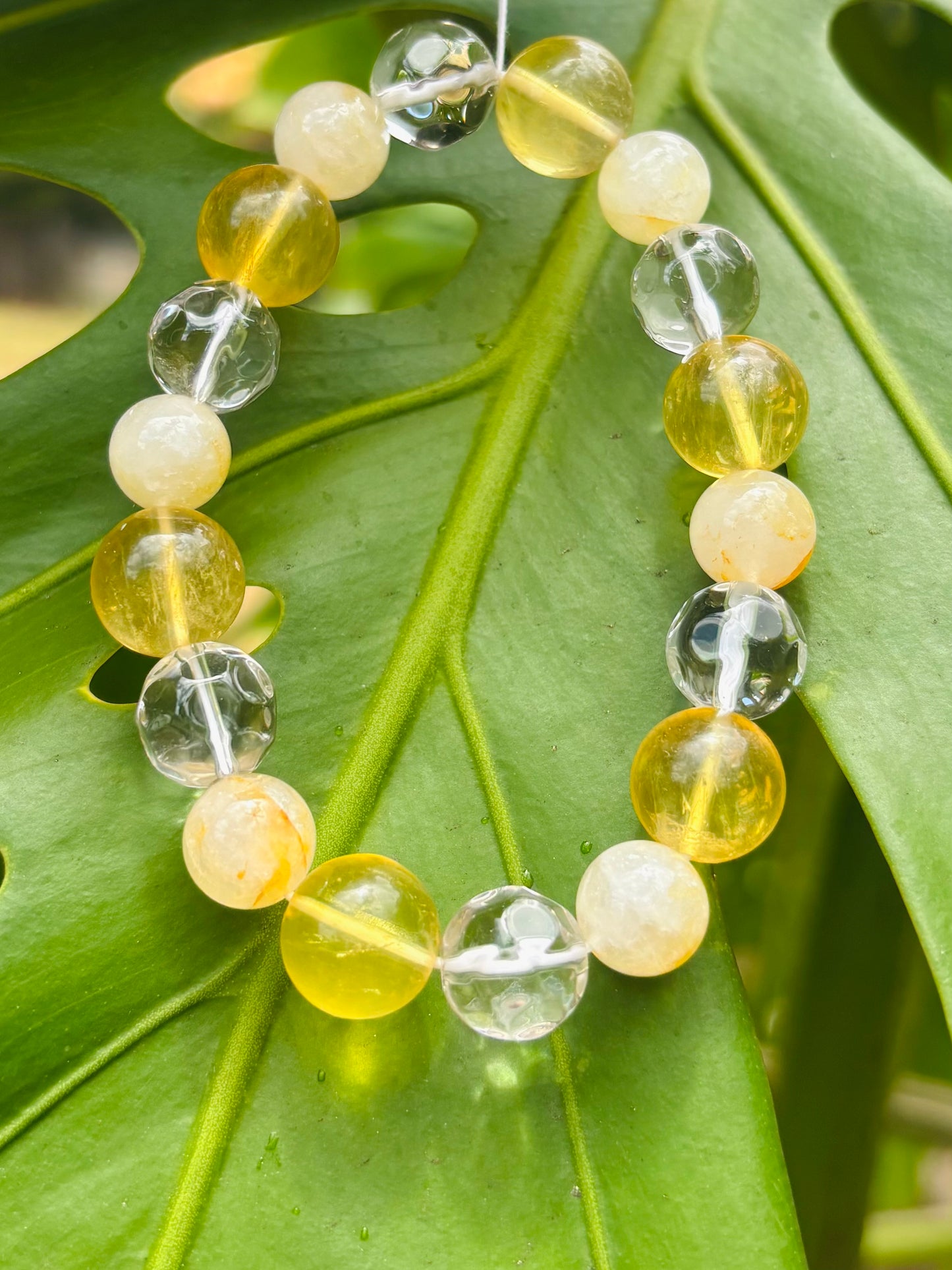 #Shinning sun light 10mm〜12mm