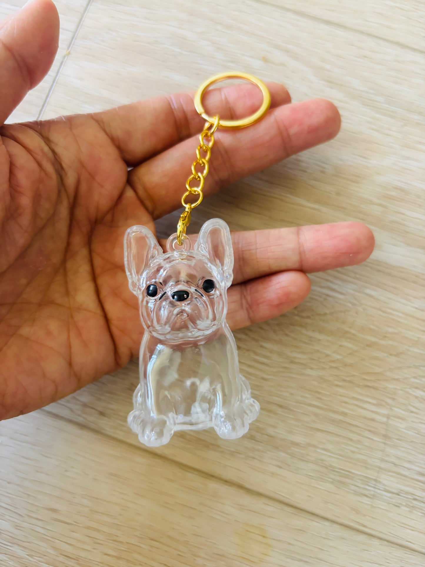 French bulldog charm