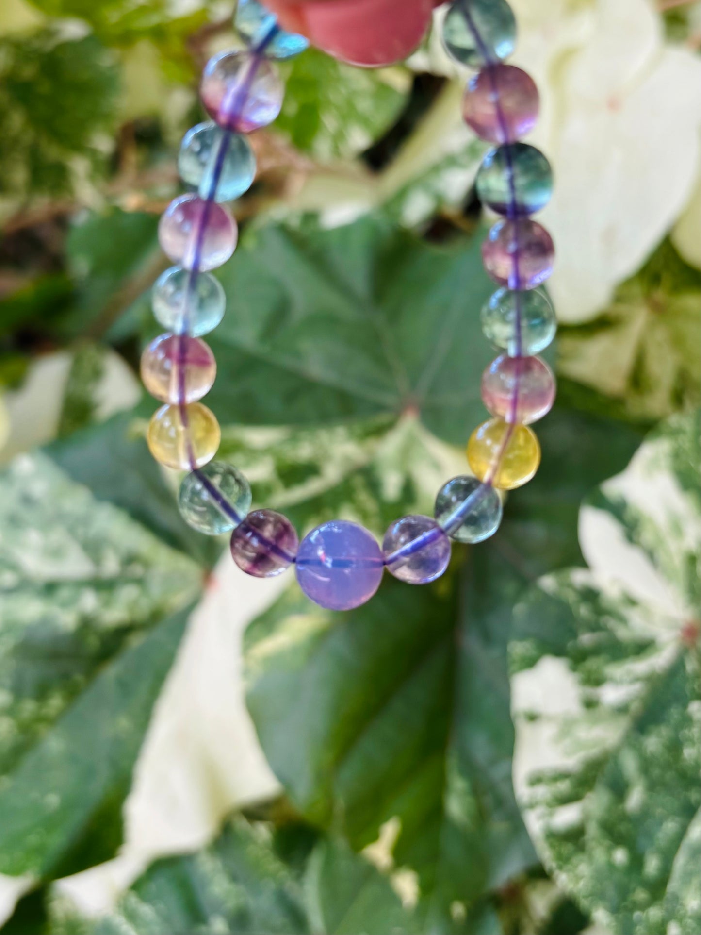 Fluorite Bracelet 8mm