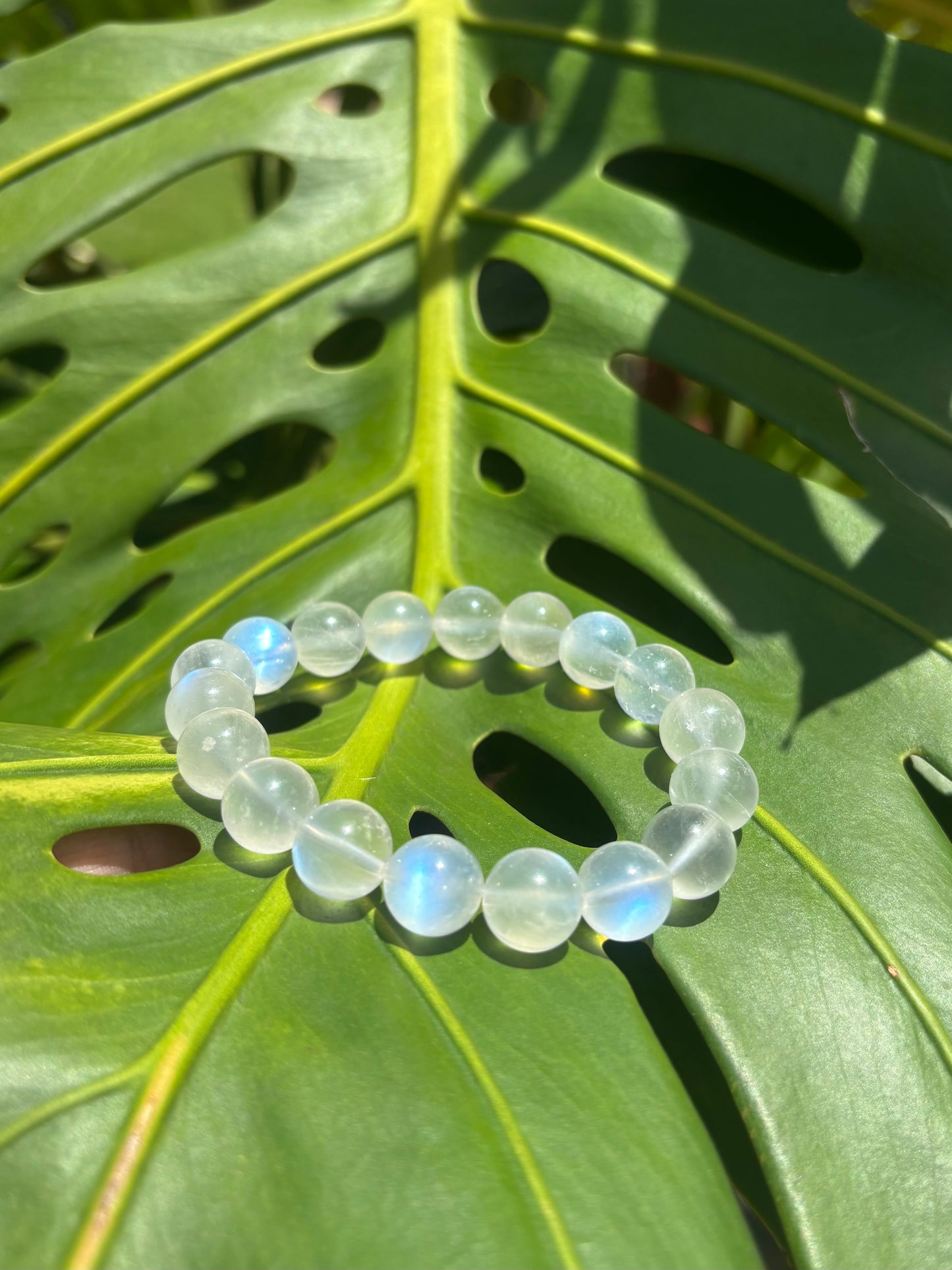 #Rainbow moonstone bracelet(極上レインボームーンストーン)
