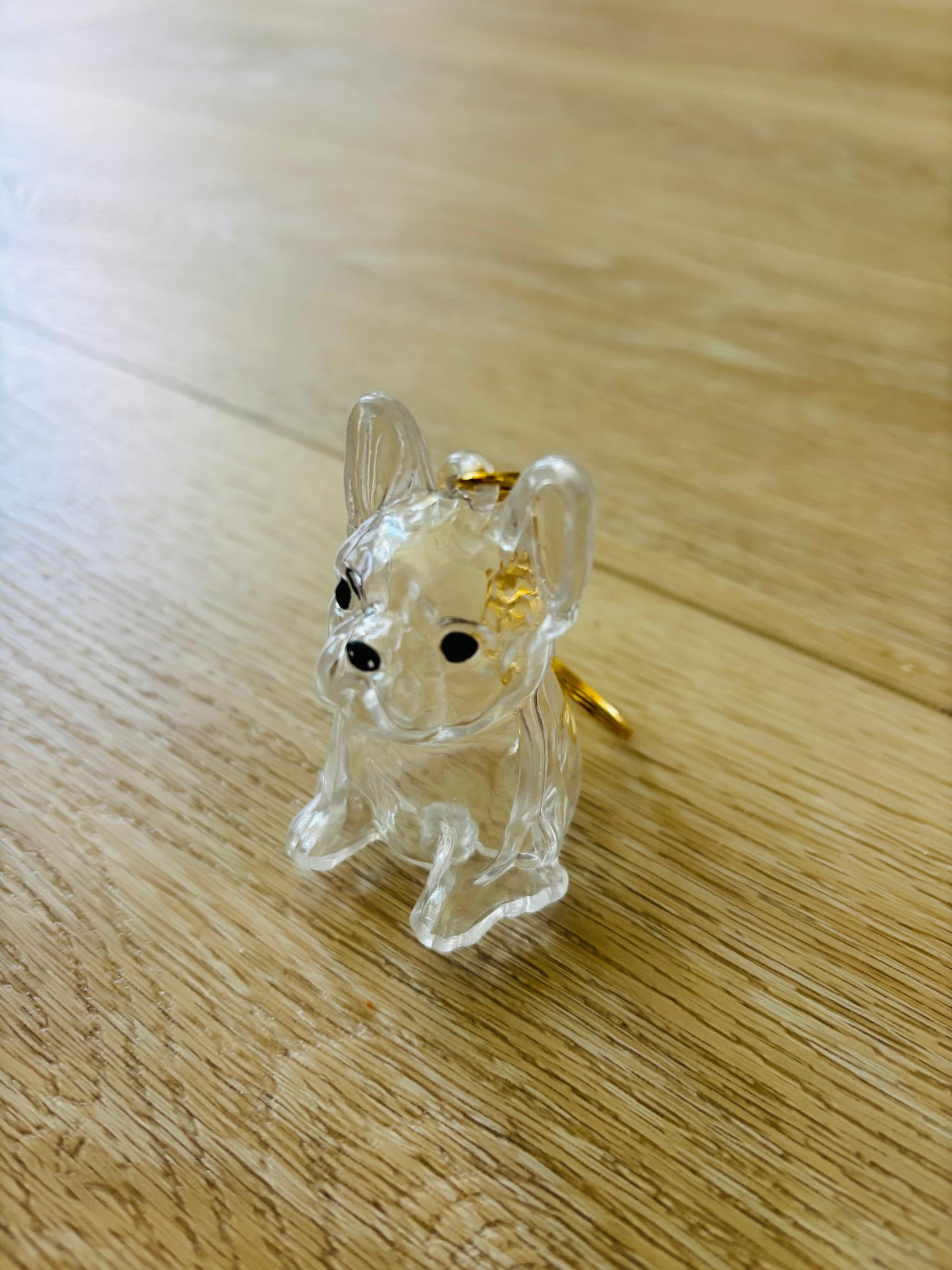 French bulldog charm
