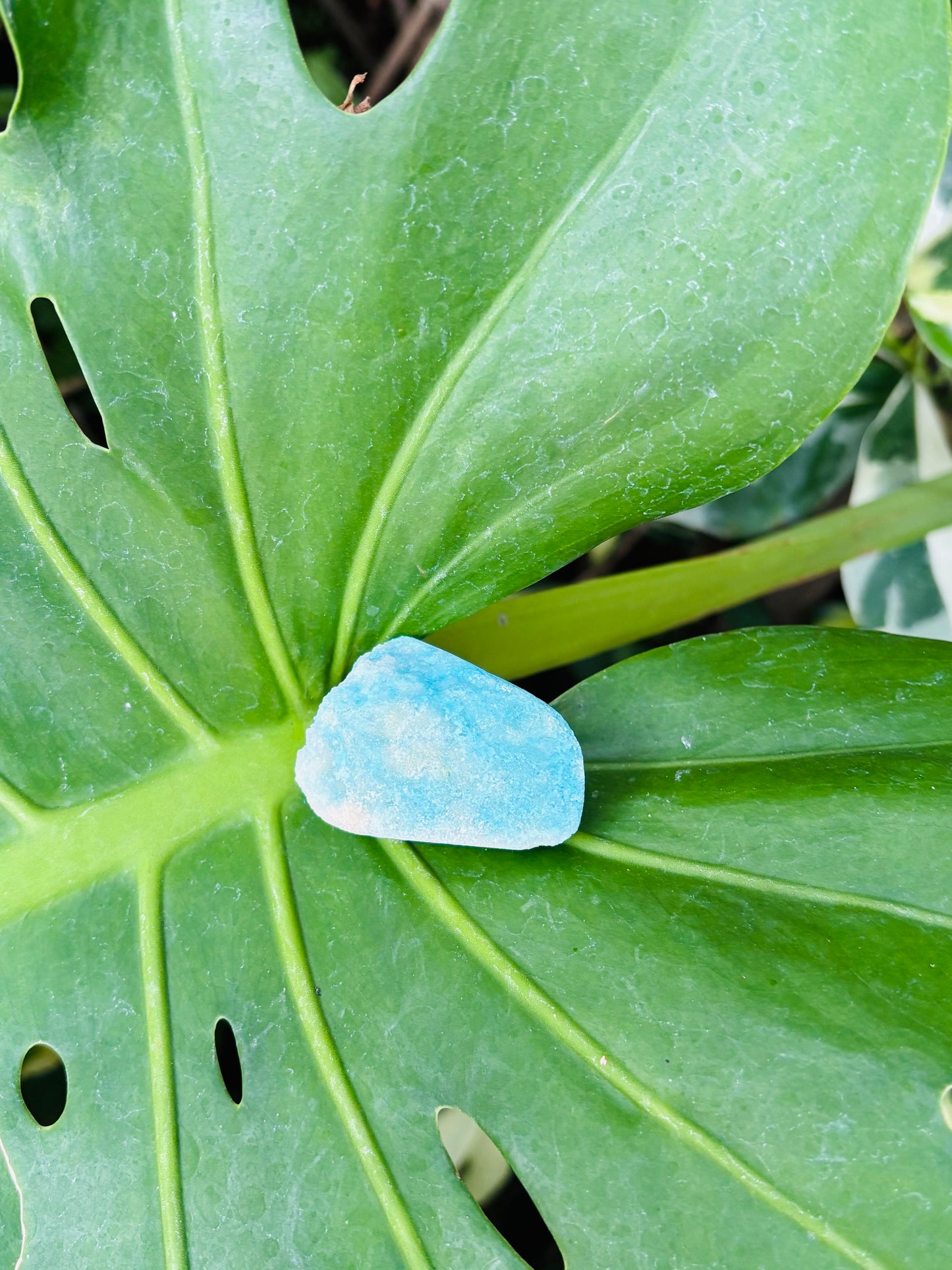 Blue Aragoniteクラスター