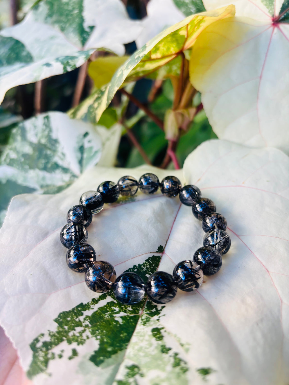 ブラックルチル 11mm
