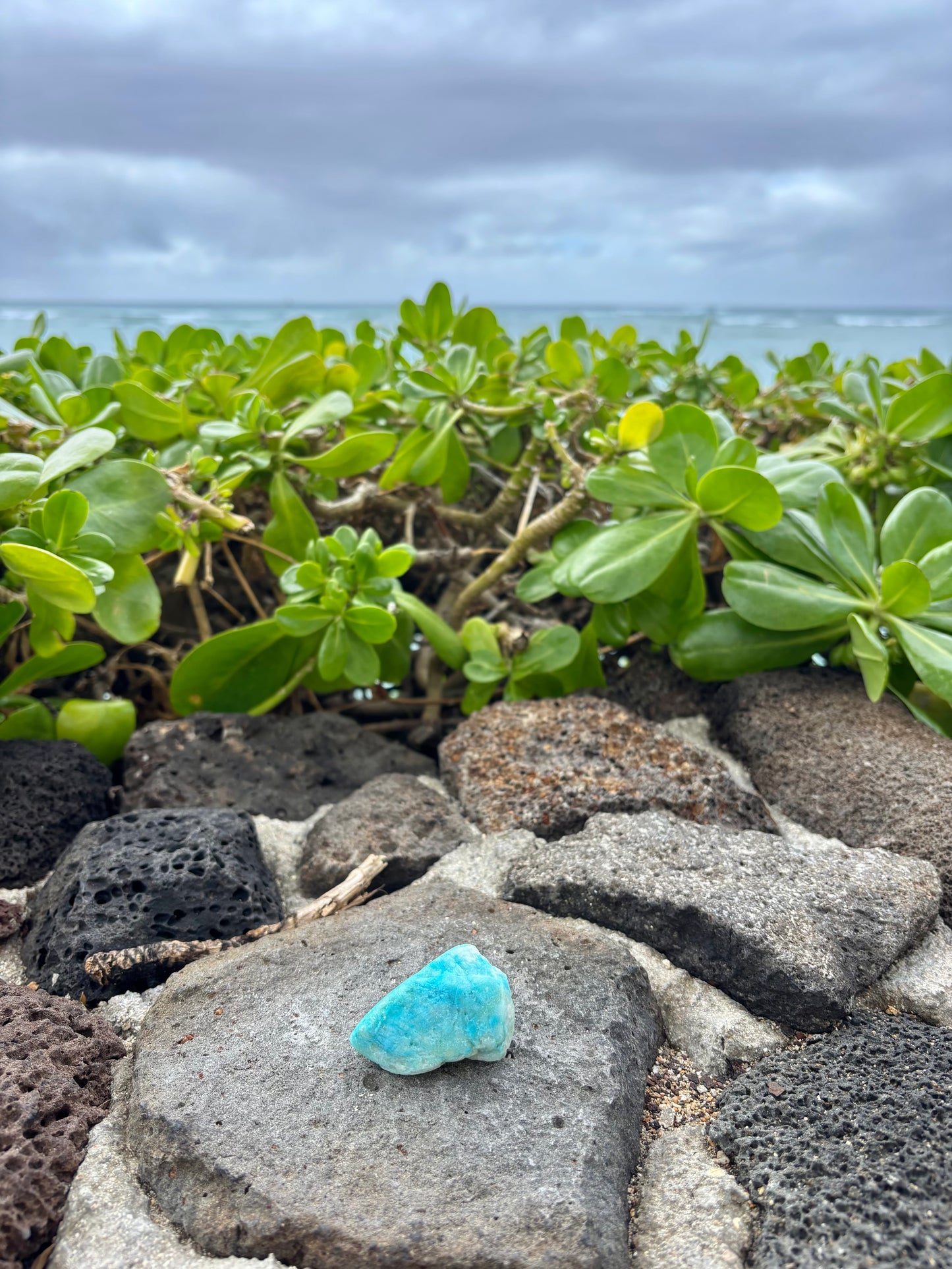 Blue Aragoniteクラスター