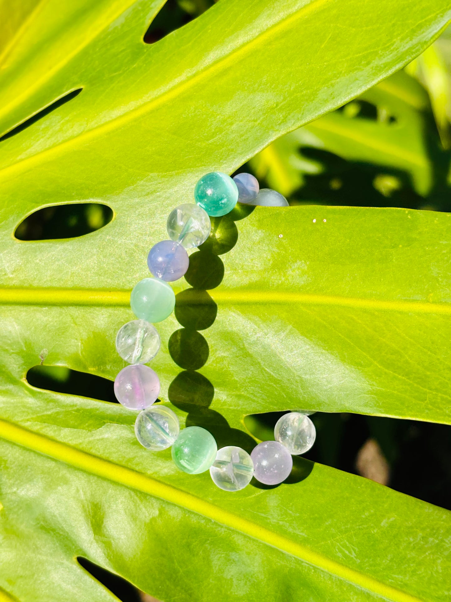 Toward the future☆