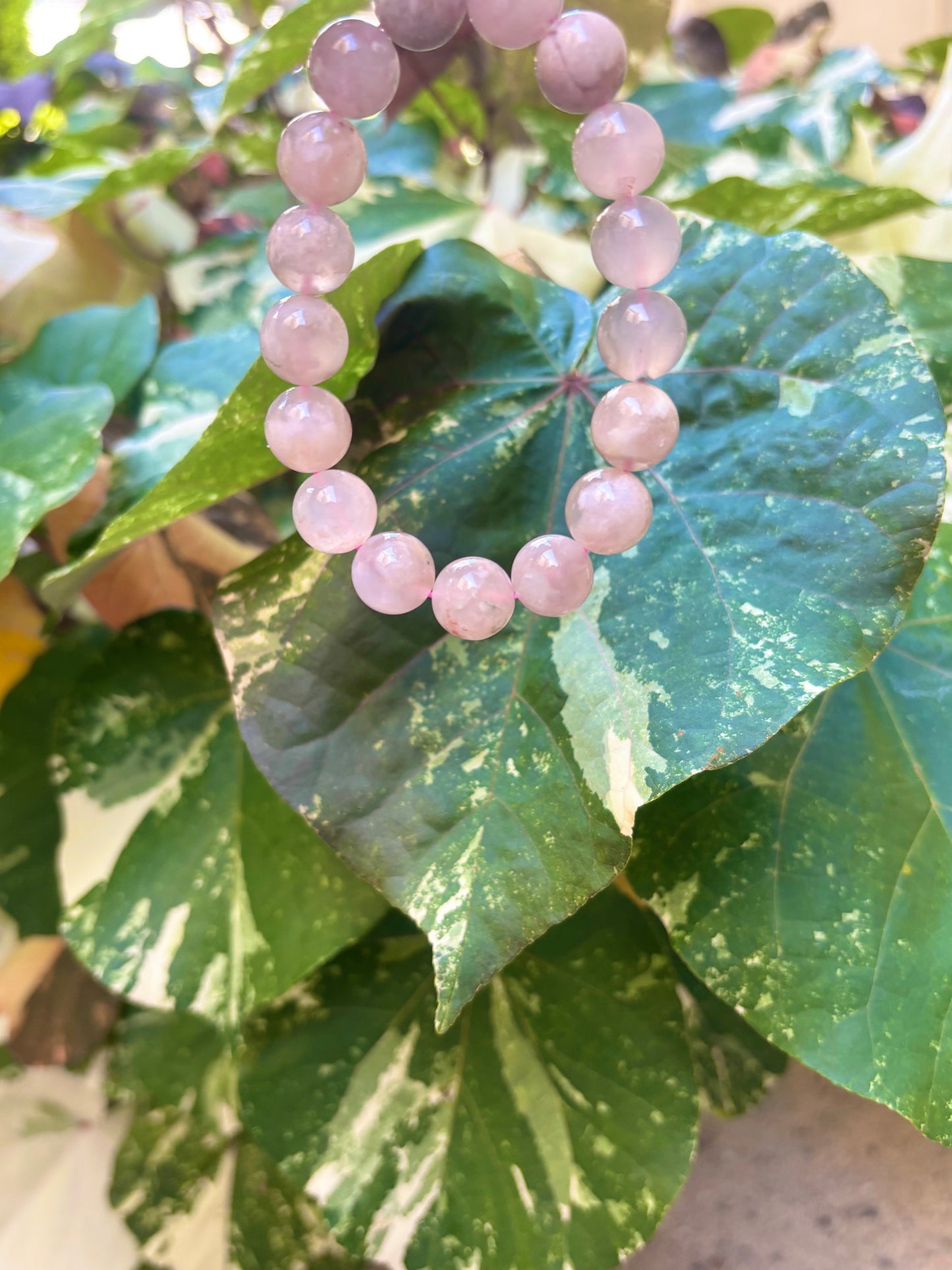 #Flower Agate🌸12mm