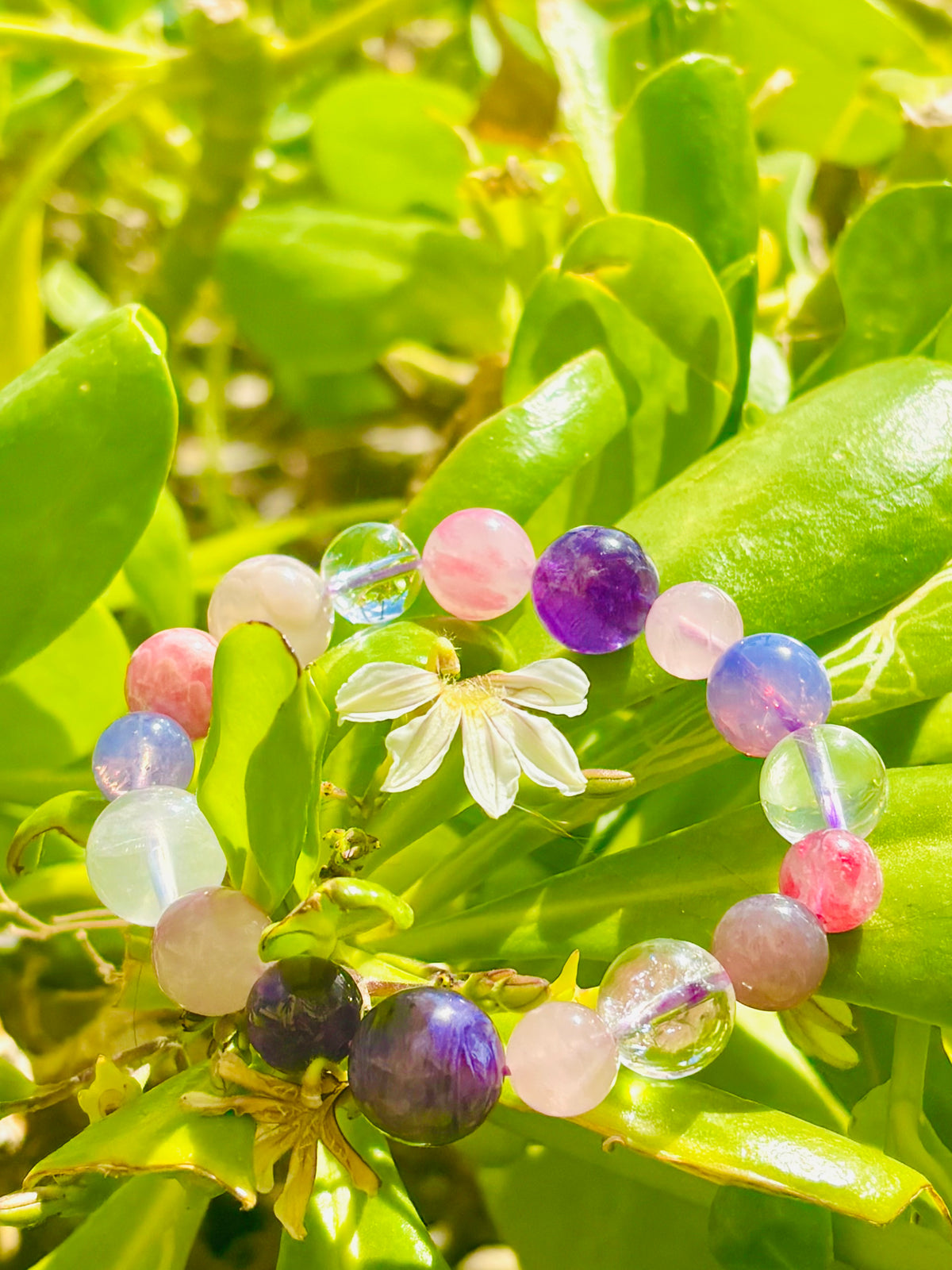 #Aloha Story...💖